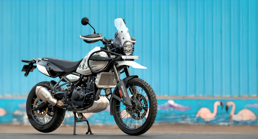 Himalayan